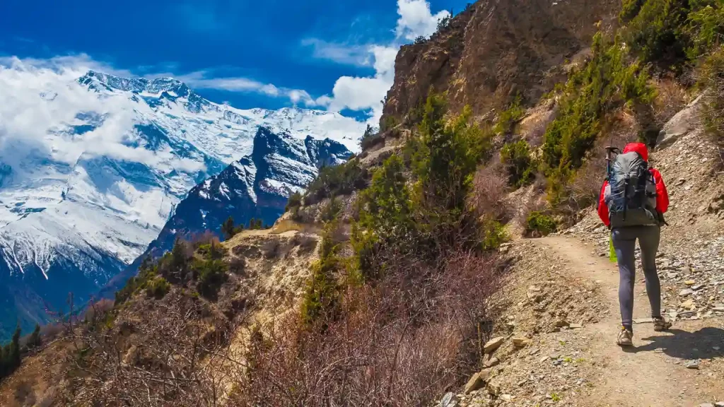 Trekker at Annapurna Circuit Trek