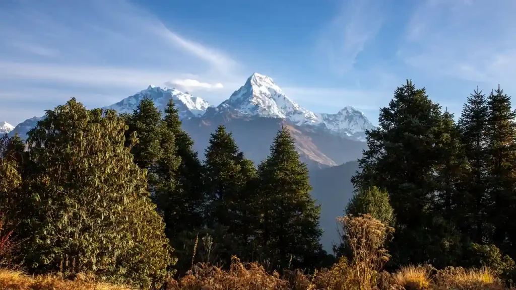 Beautiful view from Ghorepani Poon Hill