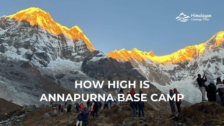 How High Is Annapurna Base Camp?